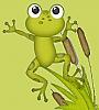 Avatar de Mamie Grenouille