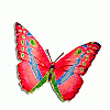 Avatar de La Mariposa