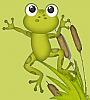 Avatar de Mamie Grenouille